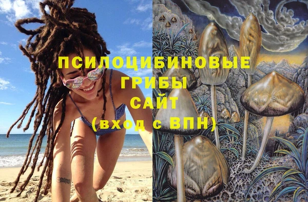 амфетамин Алексин